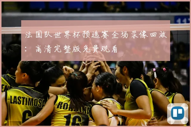 法国队世界杯预选赛全场录像回放：高清完整版免费观看
