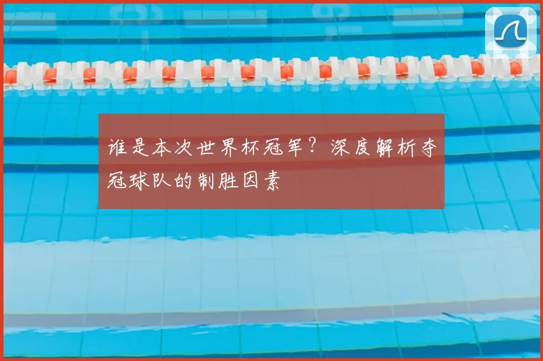 谁是本次世界杯冠军？深度解析夺冠球队的制胜因素