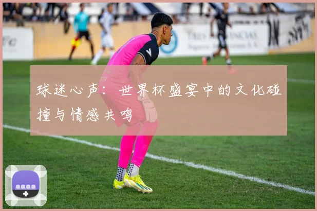 球迷心声：世界杯盛宴中的文化碰撞与情感共鸣