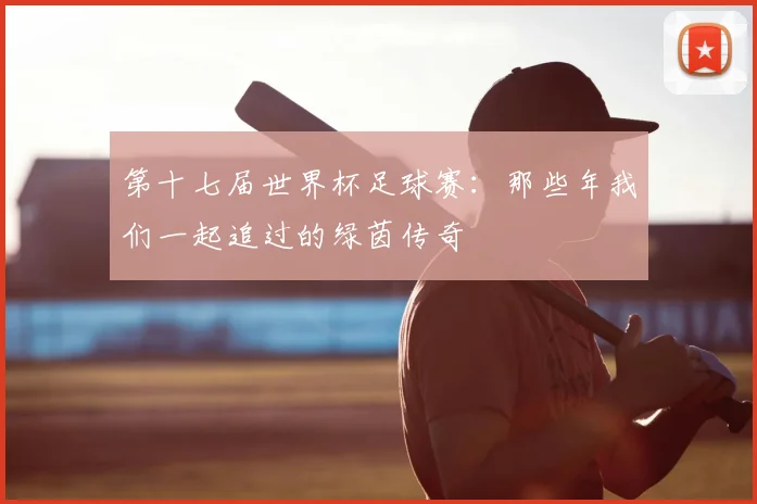 第十七届世界杯足球赛：那些年我们一起追过的绿茵传奇