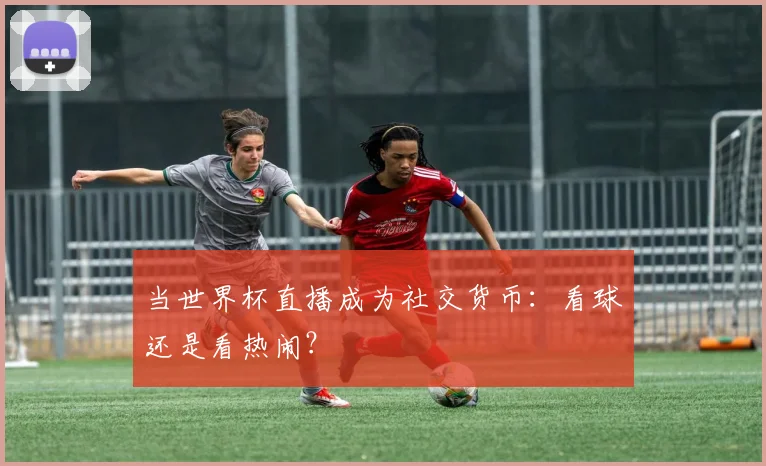 当世界杯直播成为社交货币：看球还是看热闹？