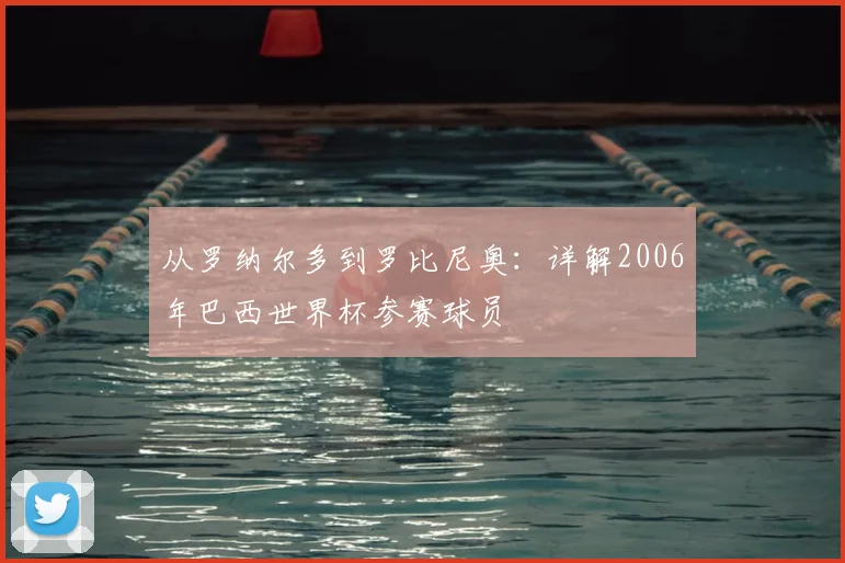 从罗纳尔多到罗比尼奥：详解2006年巴西世界杯参赛球员
