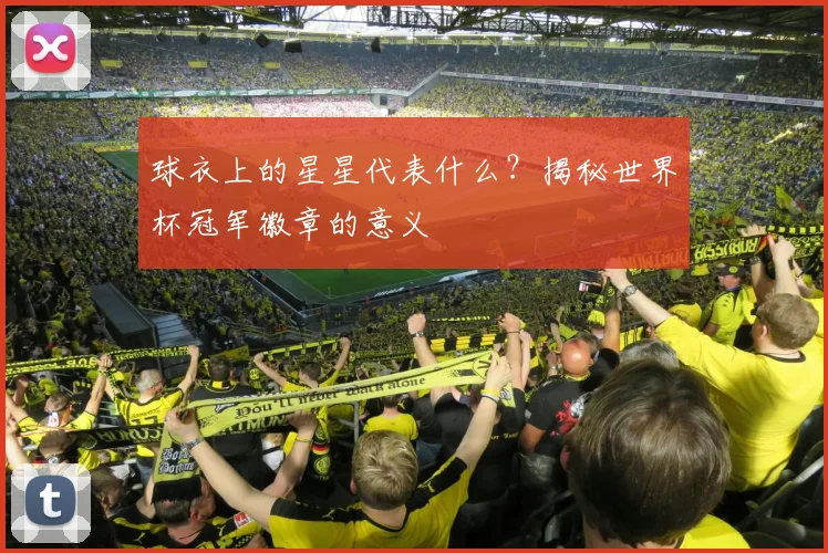 球衣上的星星代表什么？揭秘世界杯冠军徽章的意义